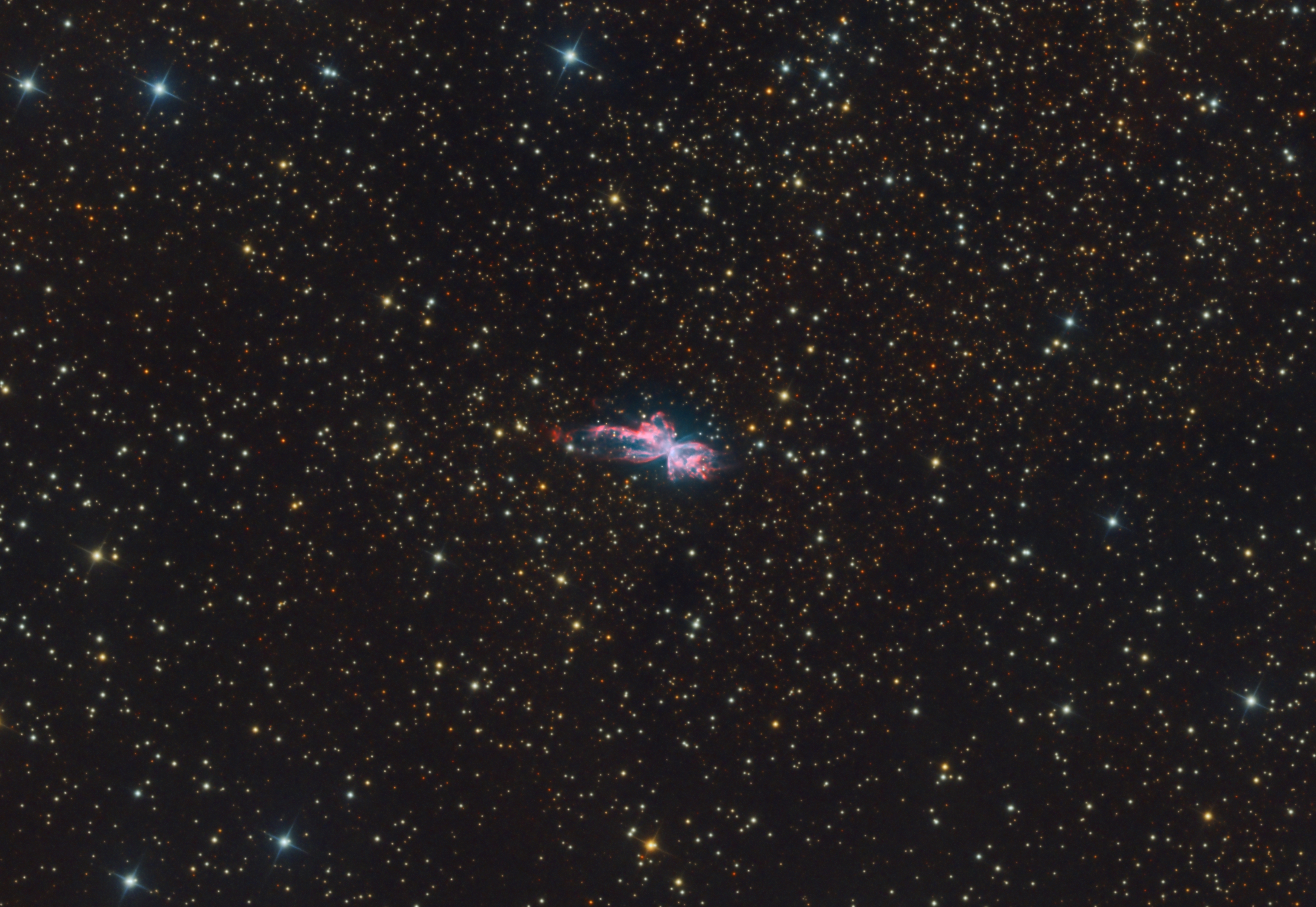NGC 6302 / Butterfly / Bug
