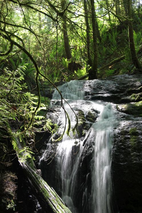 Coal Creek Falls