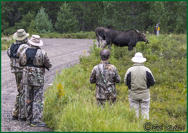 Plenty Of Photo Opportunities For Those Who Venture The Back Roads