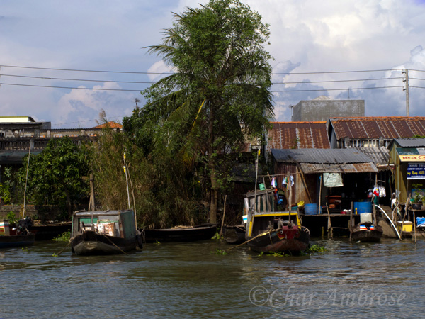 Mekong River Scene