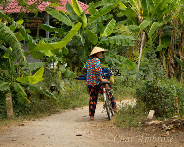 Bicycle Rider on Evergreen Island