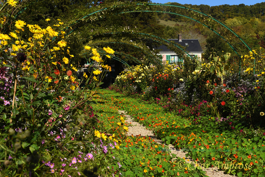 Monets Gardens in Giverny