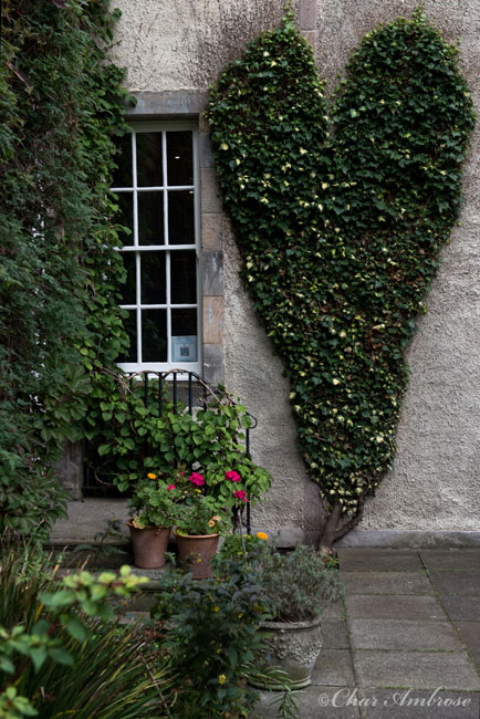 Ivy with a Creative Touch