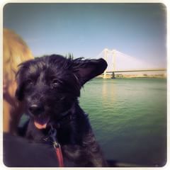 At the Columbia River