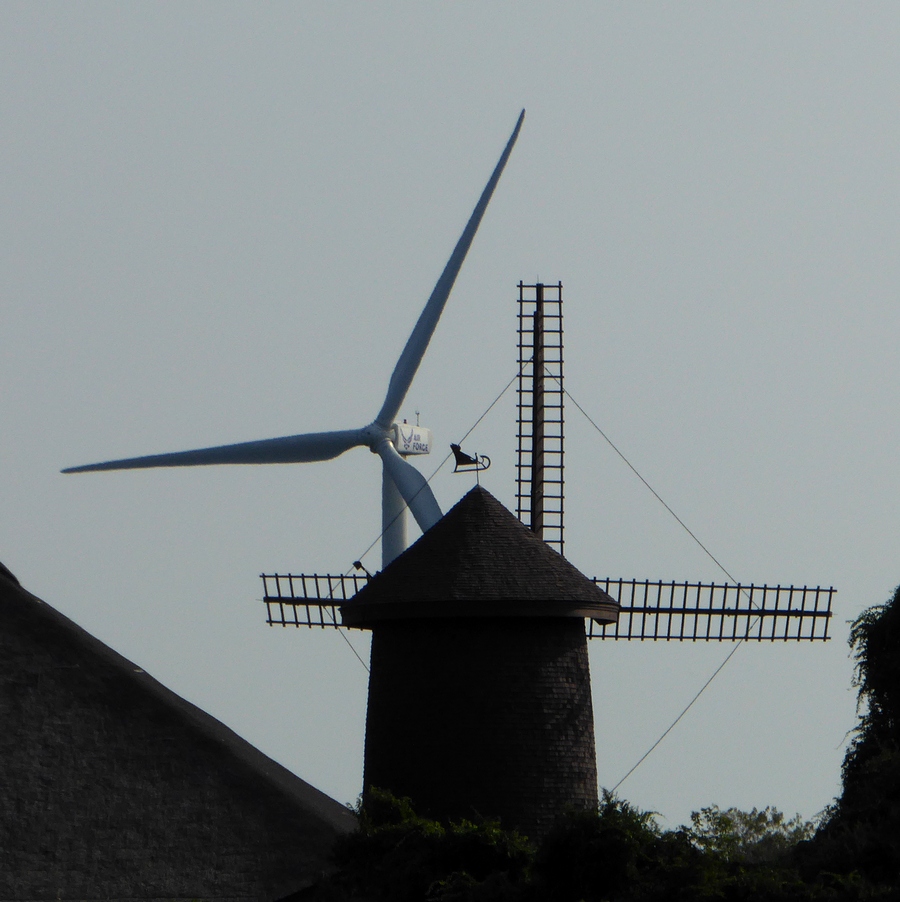 P1060980w.JPG