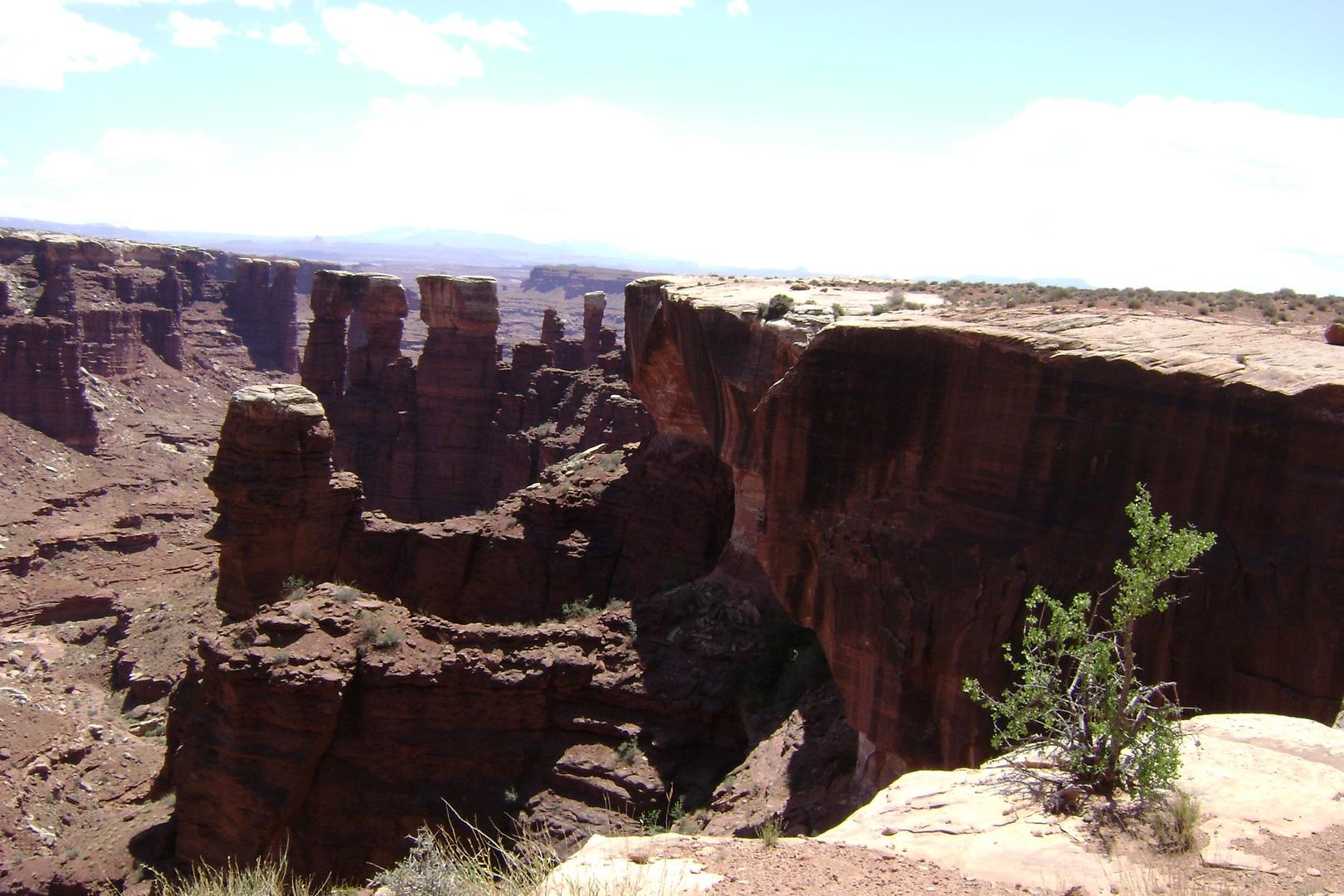 DSC01871 (Copy).JPG