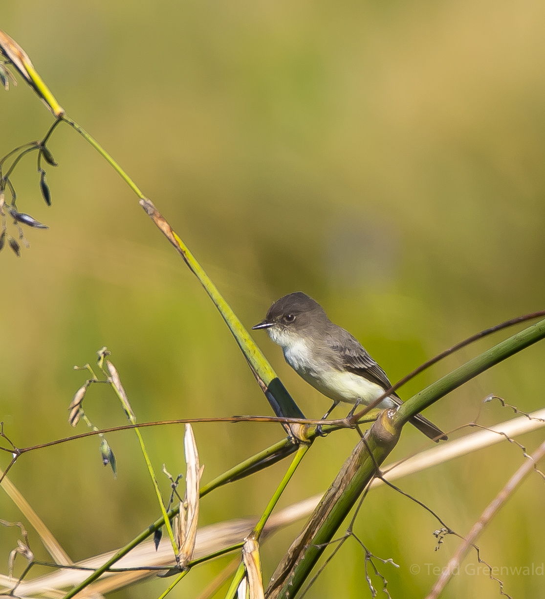 Lake City Wetlands Birders-5.jpg