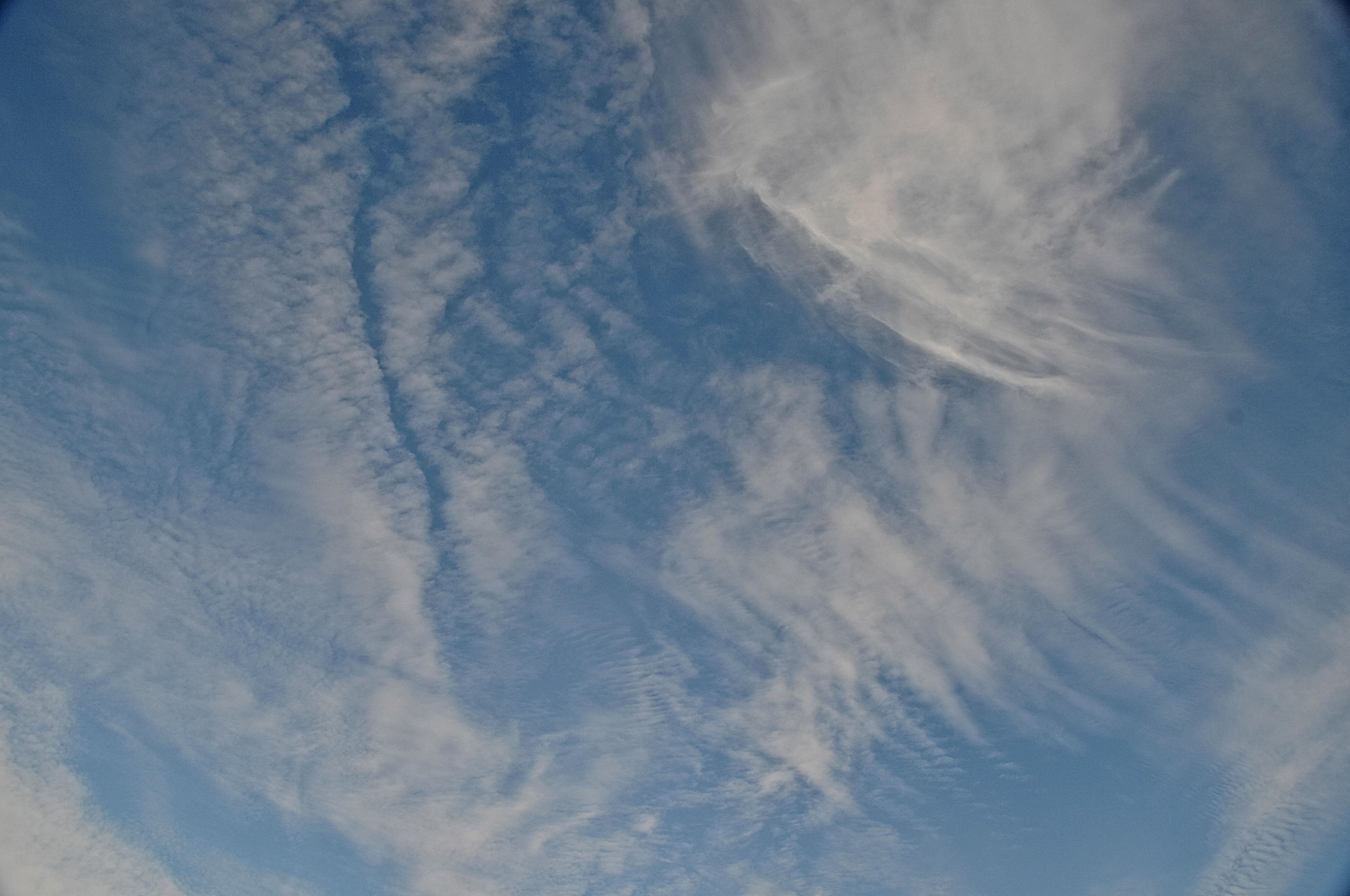 MIDDLEBURY 2015-10-1 3009.JPG
