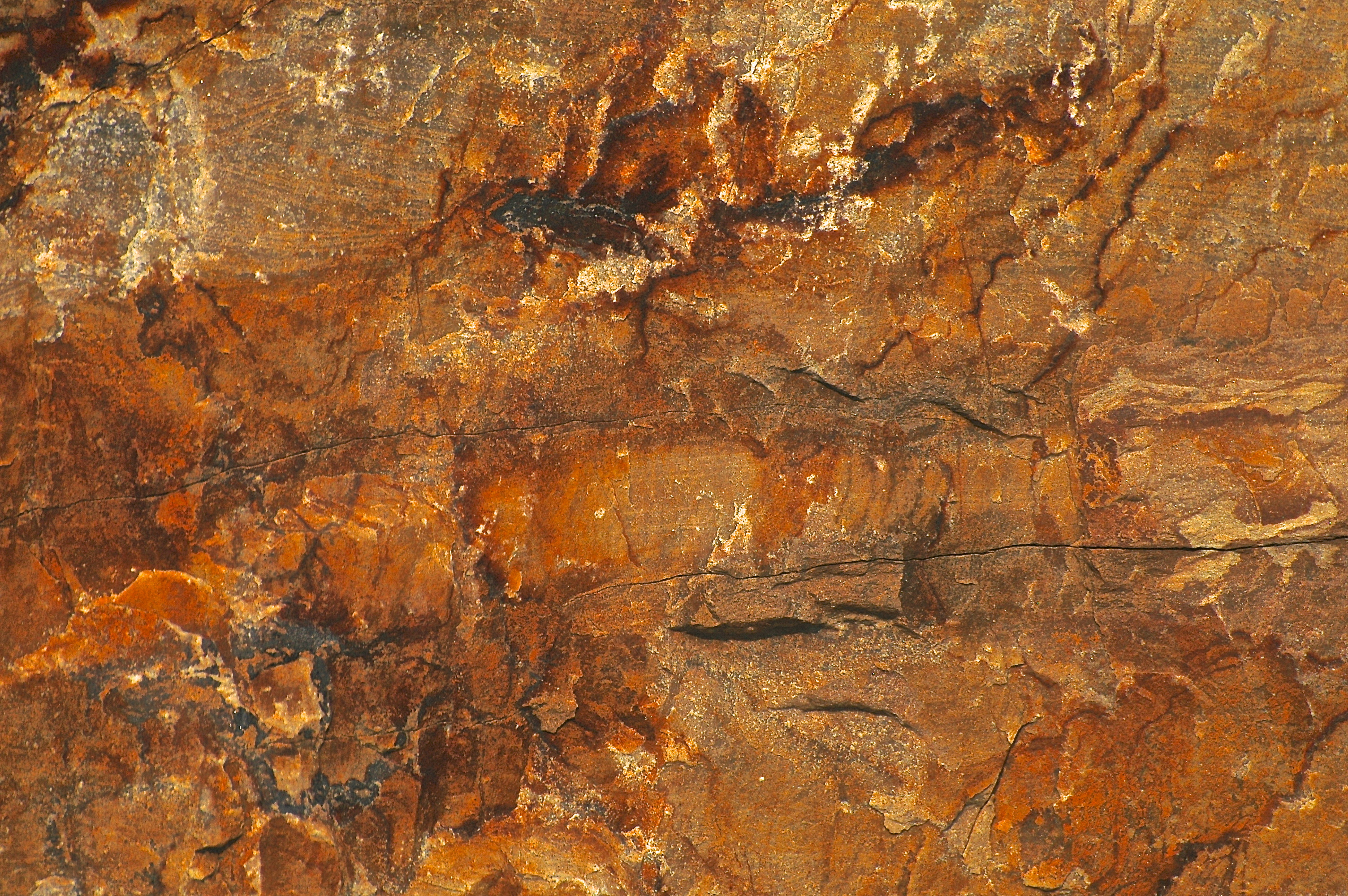 WILLISTON 2015-7-13 659mosaic+.JPG