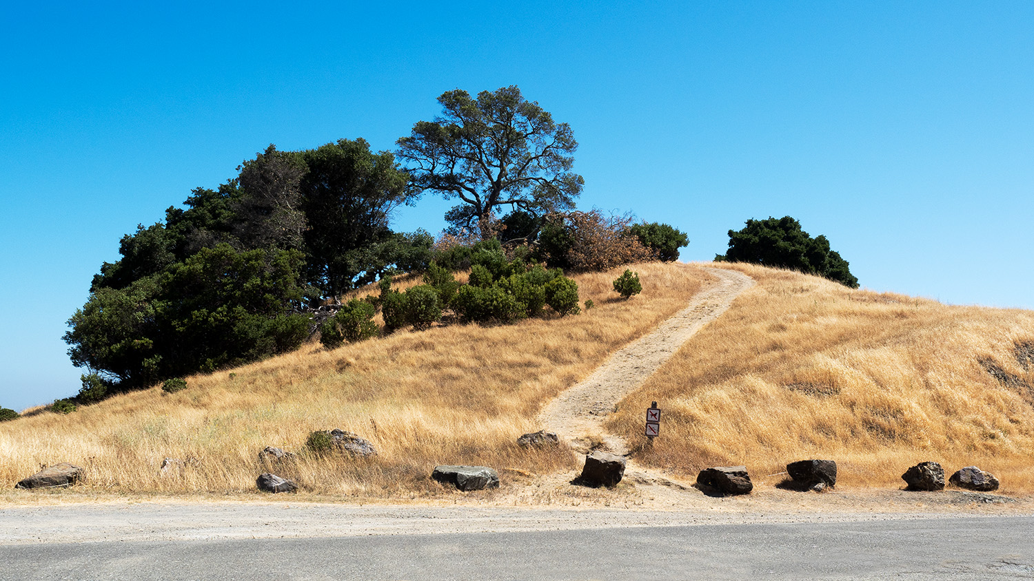 China Camp State Park Trail