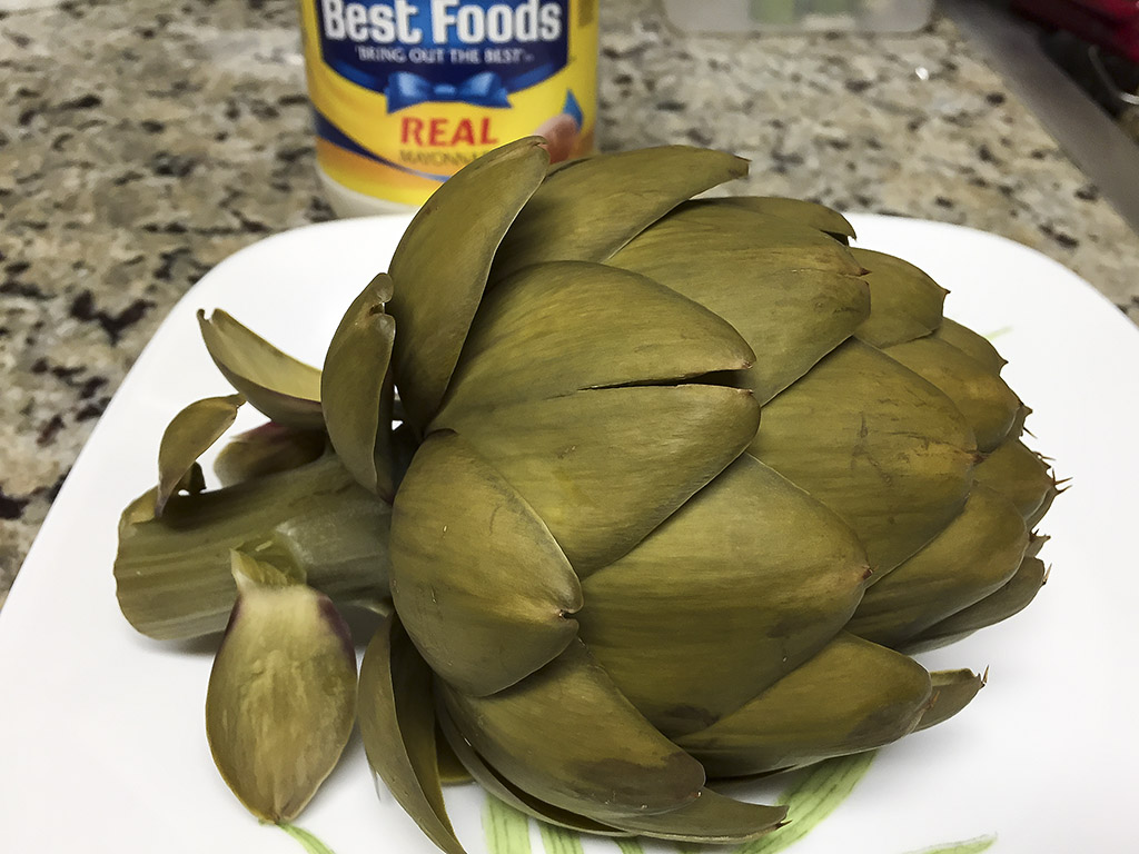 5/13/2017  Artichoke