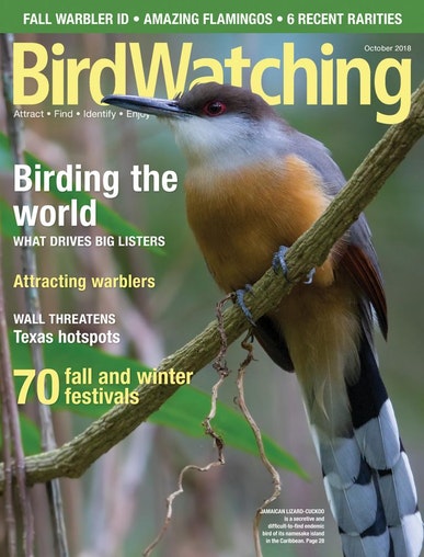 o10/16/890416/1/168060653.YJgbCvyY.BirdwatchingMagazine.jpg