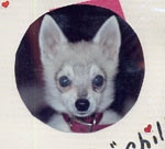 chilkoot_charlie.jpg