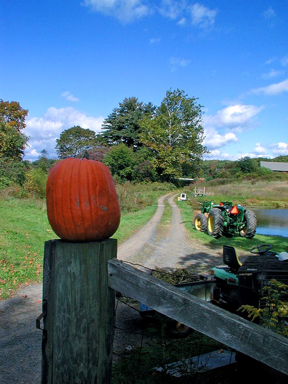 Windsor, CT 11