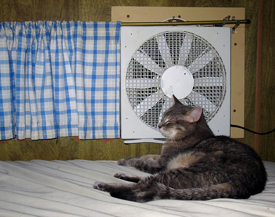 Ah, cool air!