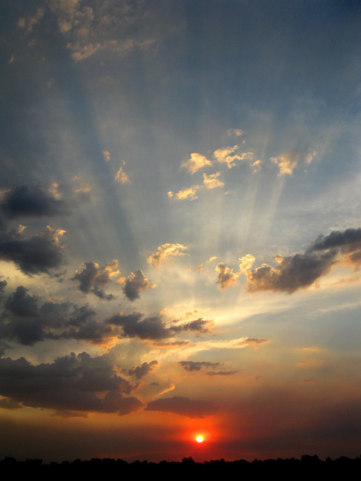 Sunset in the Desert