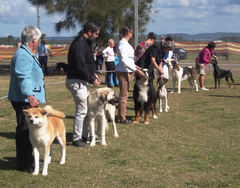 Waiting in line for judging
