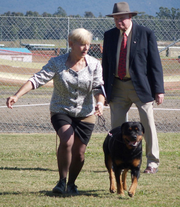 Judge observing running style