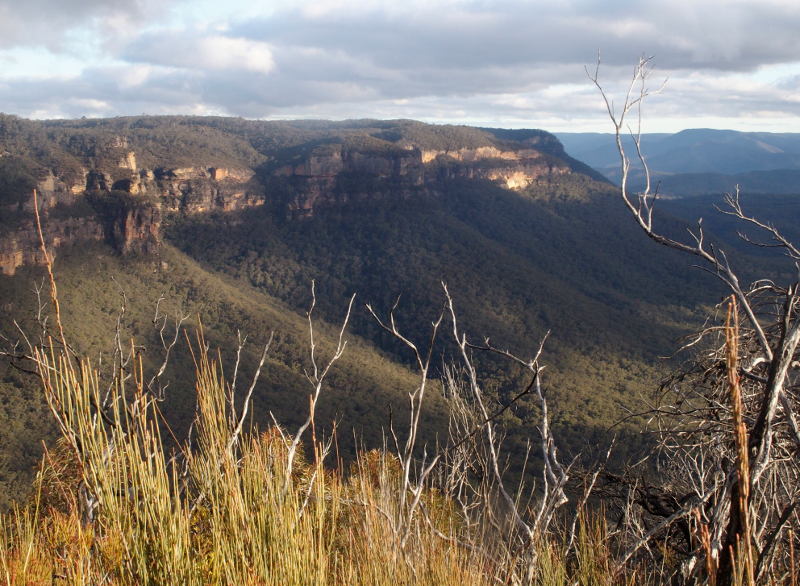 West Side of Narrow Neck