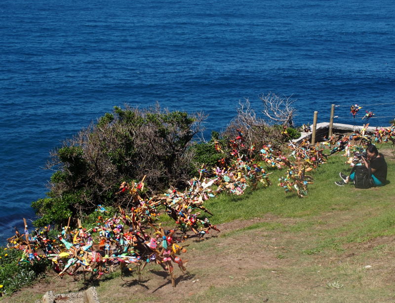 Most of #22: Ian Swift: The Reef (Earth Mothers to the Rescue) with photographer