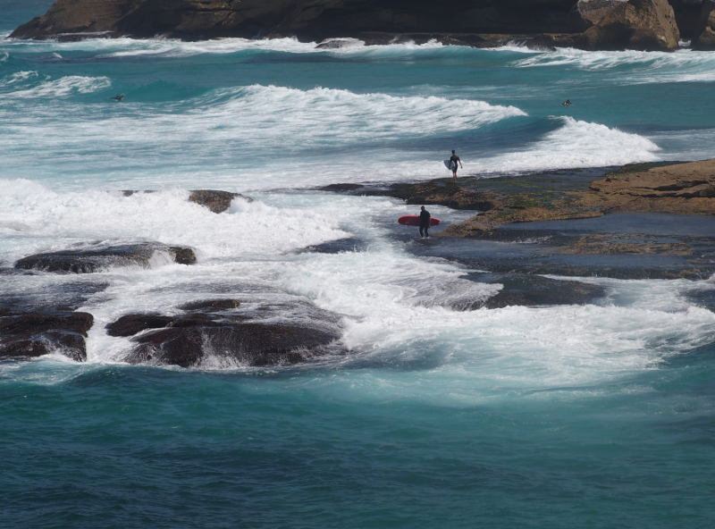 Tamarama Surfers
