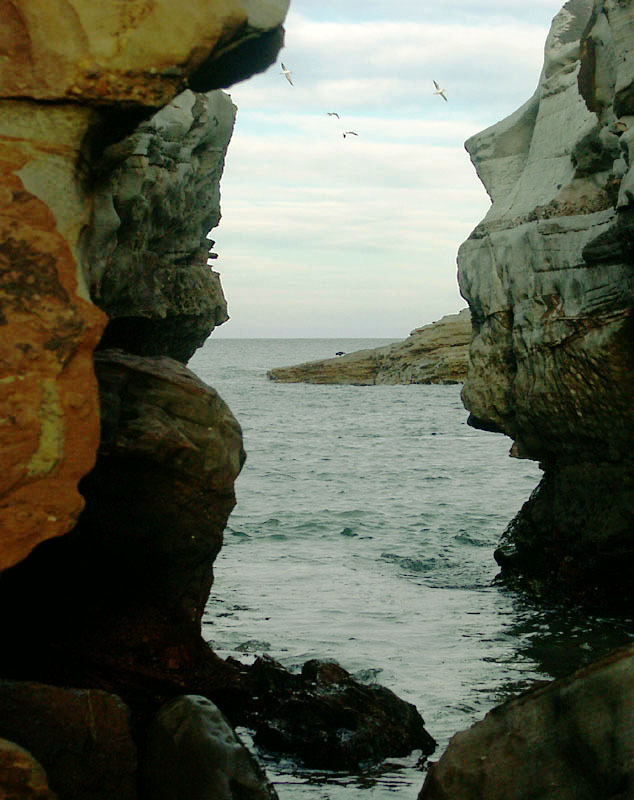 Birds seen between rocks