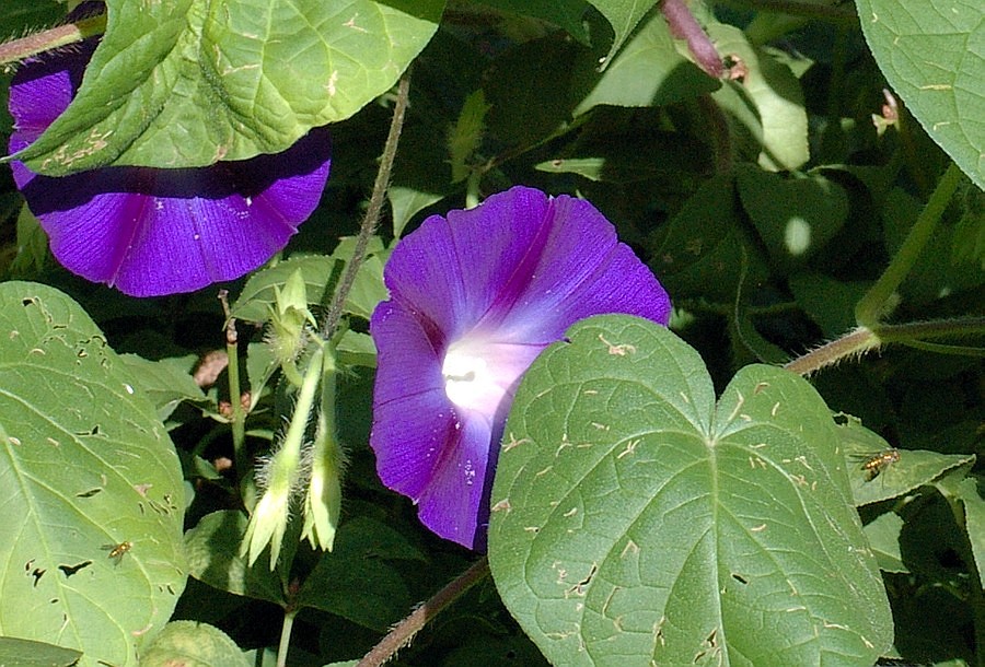 5526.JPG