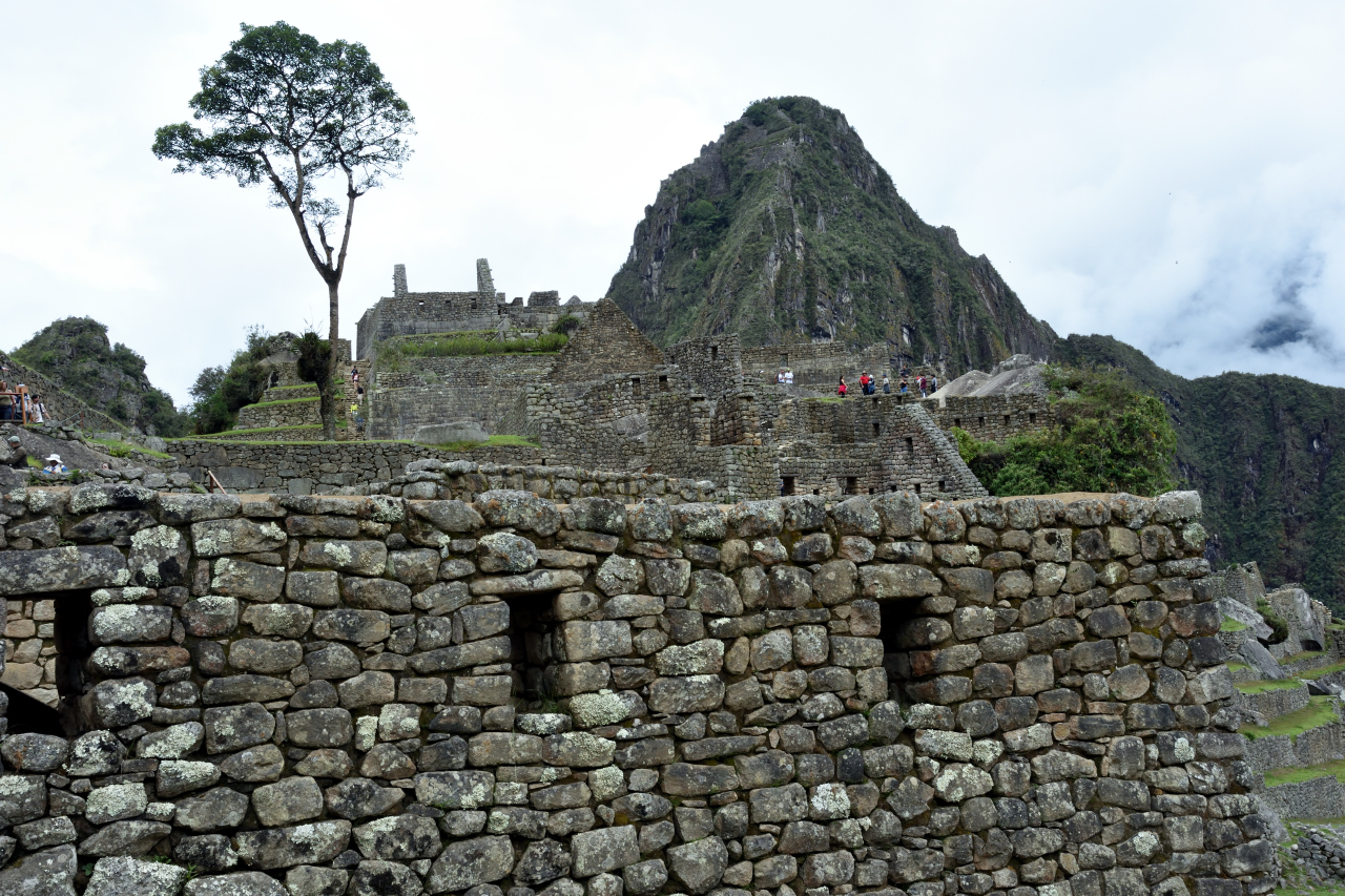 Machu Picchu
