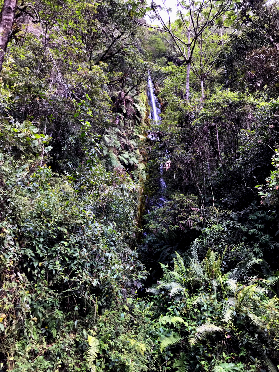Chutes en fort