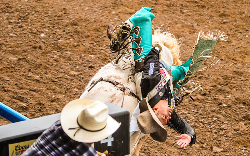 Bronc Rider Kyle Charley gets bucked right out of the gate by 202 Stardust
