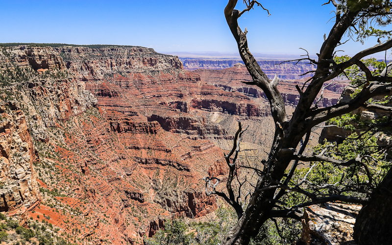View from near the trailhead at Cape Royal in Grand Canyon National Park