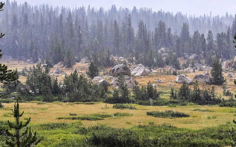 Rain pours down on a boulder field in Dana Meadows along the Tioga Road in Yosemite National Park