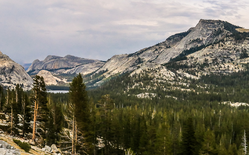 Polly Dome (left), Pywiack Dome, Medlicott Dome (center rear) and Tenaya Peak along the Tioga Road in Yosemite National Park
