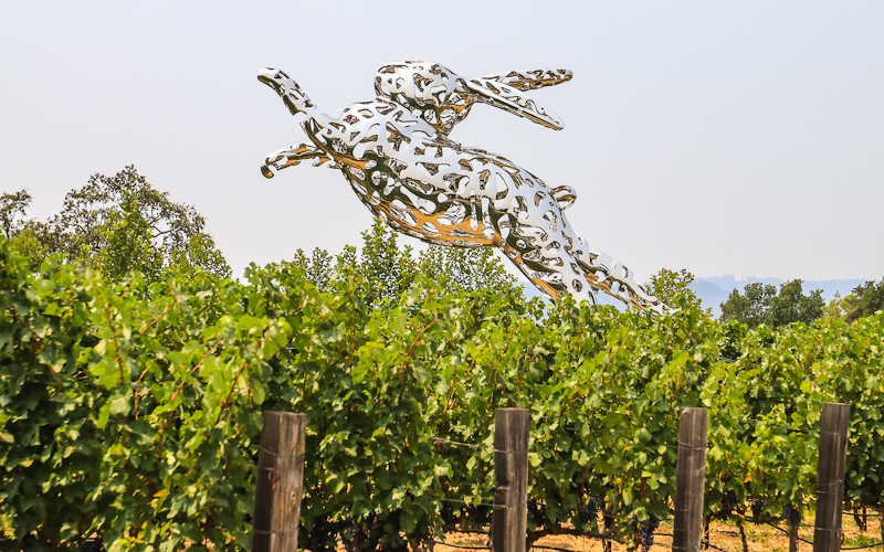 Giant rabbit sculpture over grape vines in Napa Valley