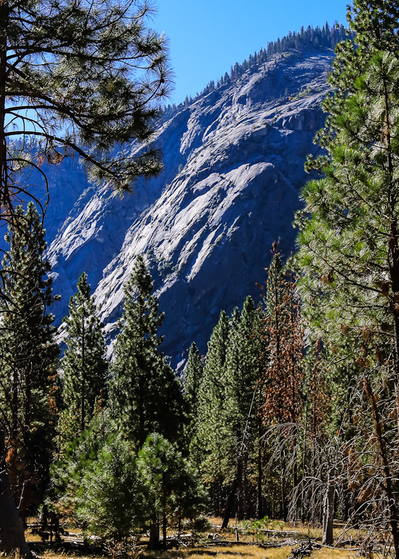 Smooth granite wall from along the Kanawyers Trail in Kings Canyon National Park
