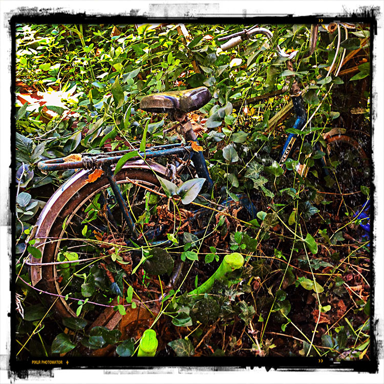 Cyclo-camouflage
