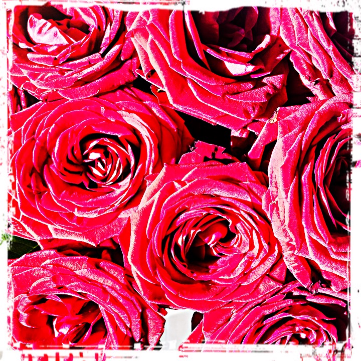 Roses