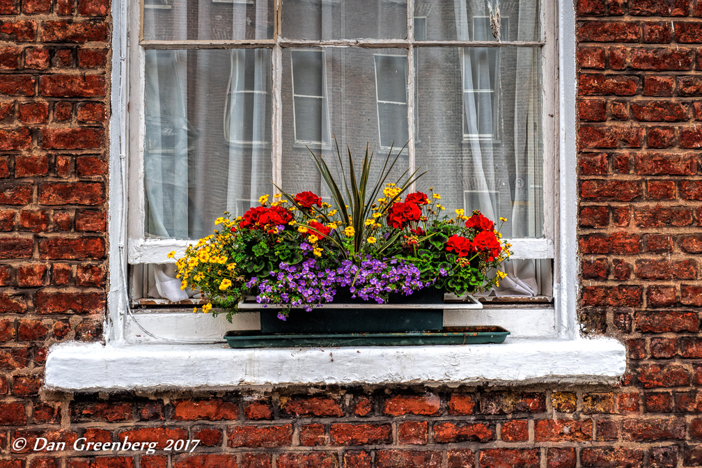 Gorgeous Window Flower Box