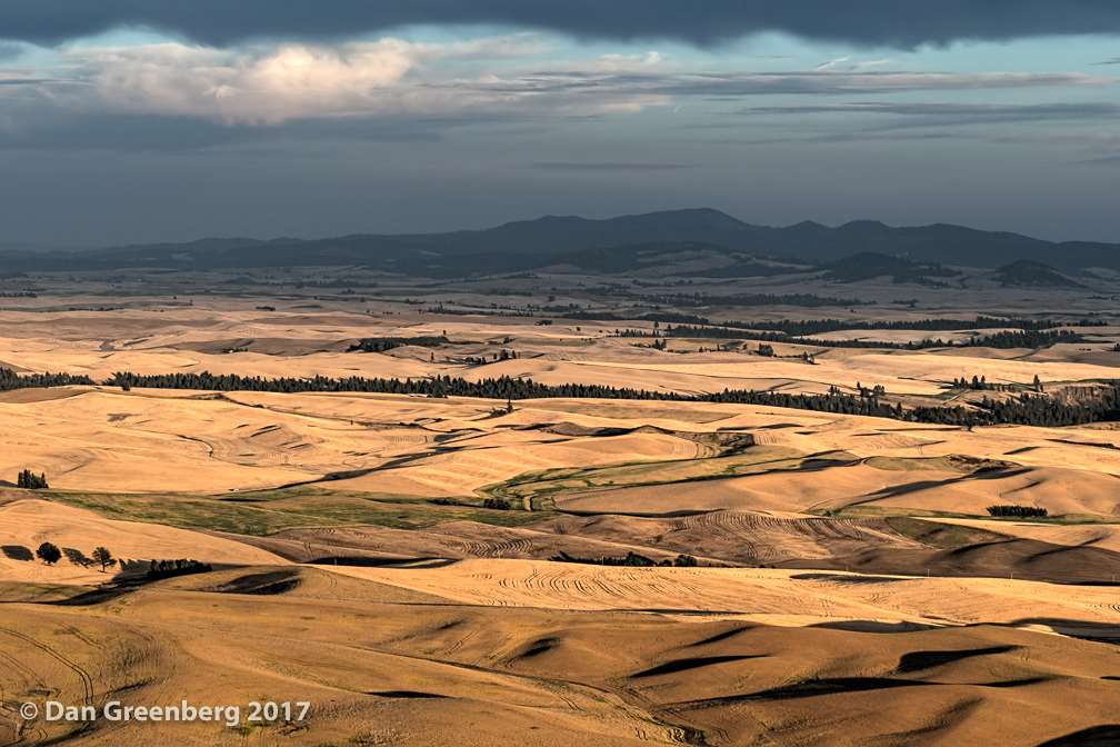Late Afternoon From Steptoe Butte