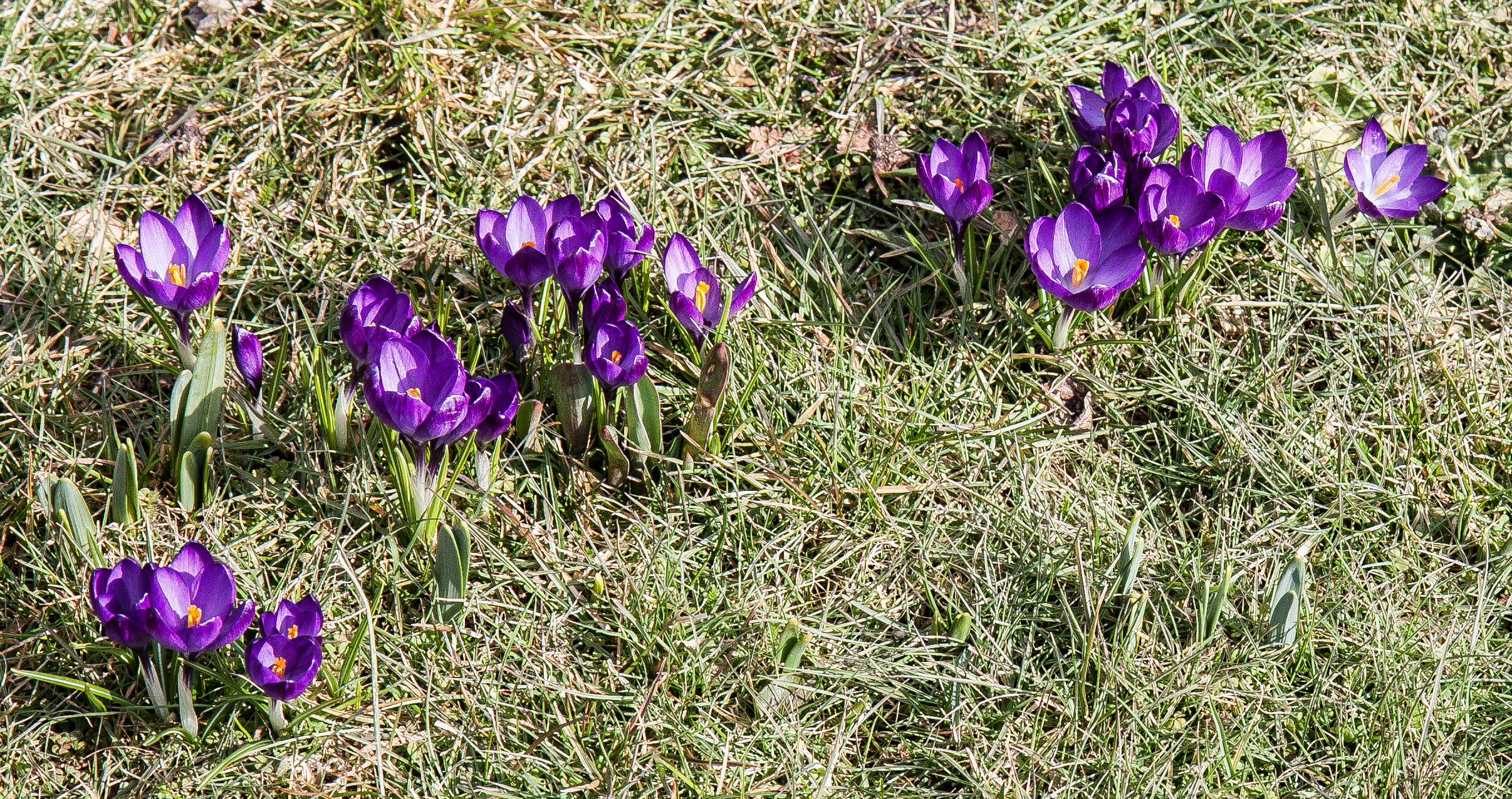 IMG_0187.jpg