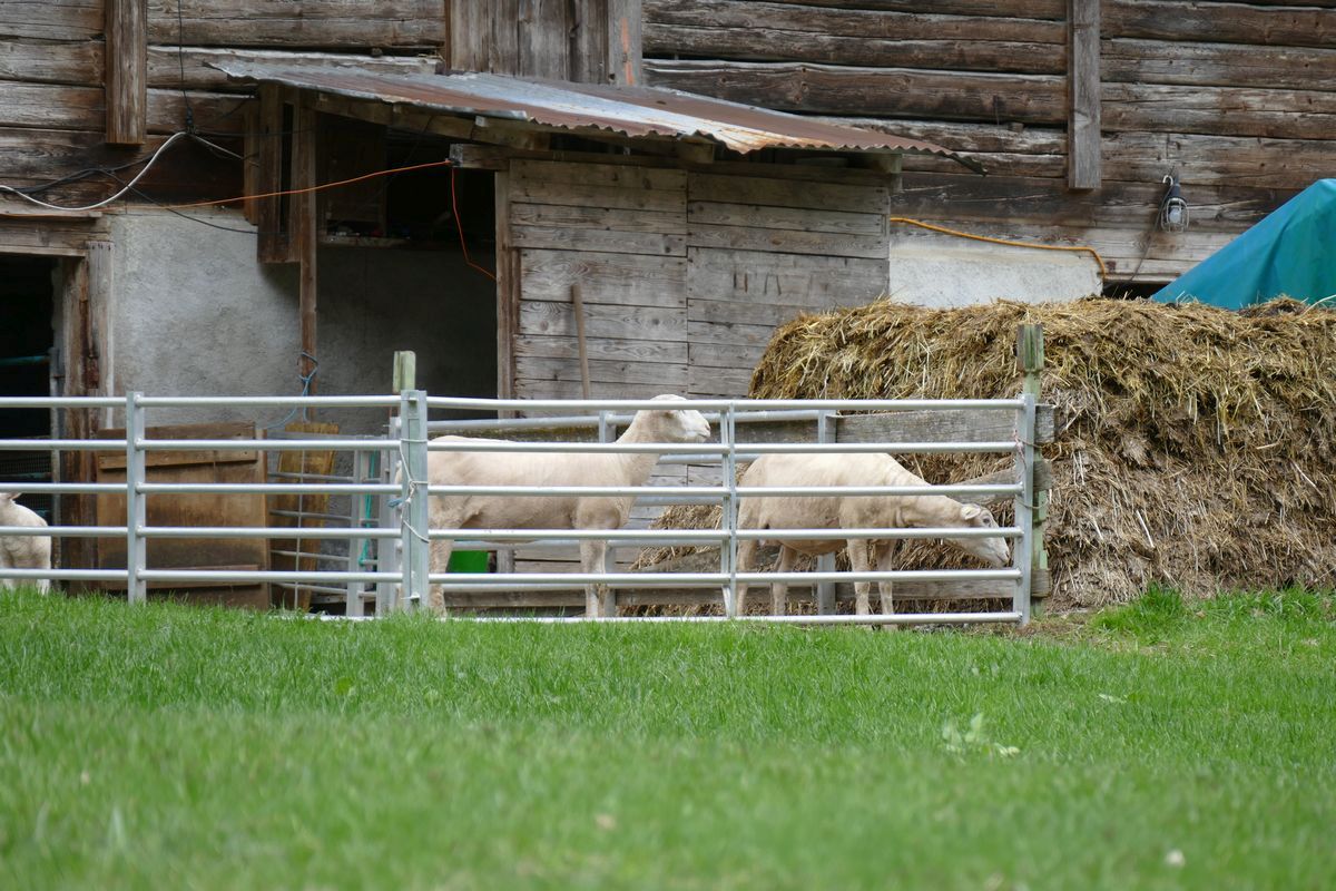 Lauterbrunnen valley