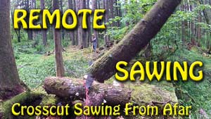 Remote Crosscut Saw Sawing