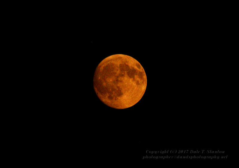 Orange Moon - IMG_8443.JPG