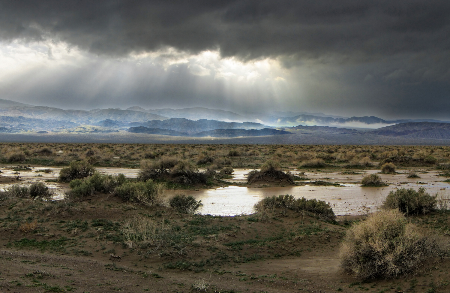 Quail Mountains