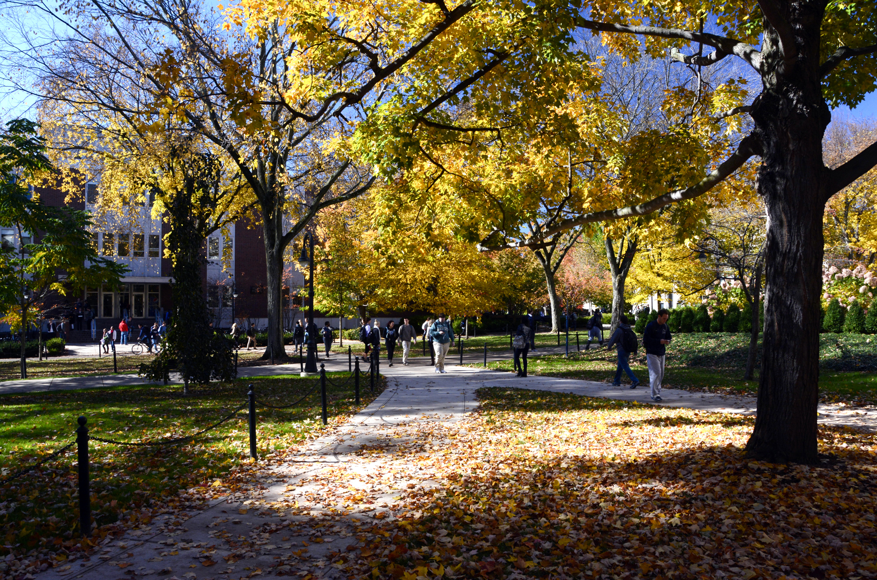 Penn State Campus Autumn (24).JPG