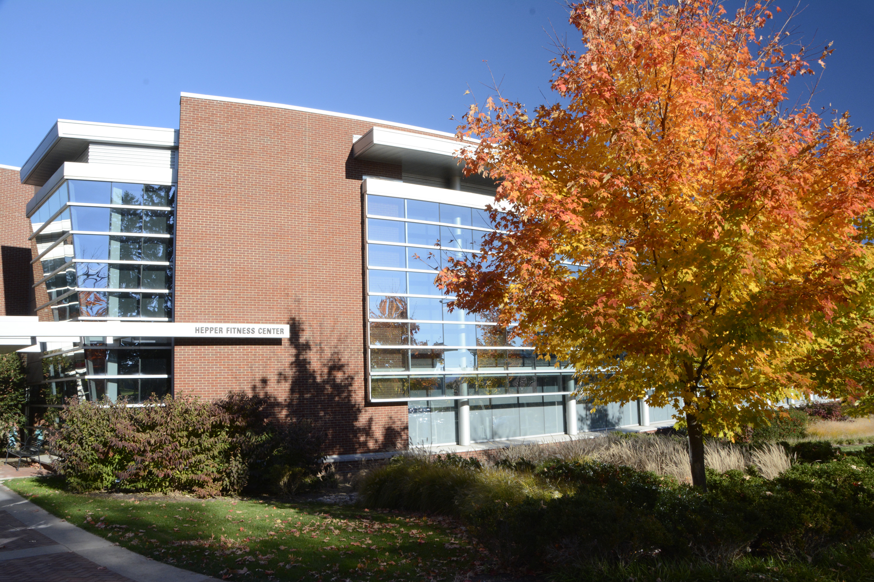Penn State Campus Autumn (31).JPG