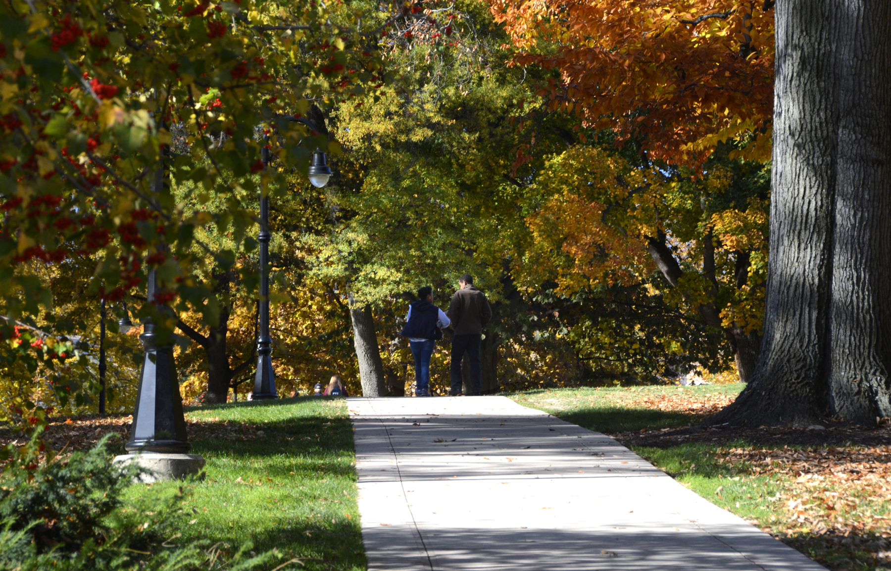 Penn State Campus Autumn (5).JPG