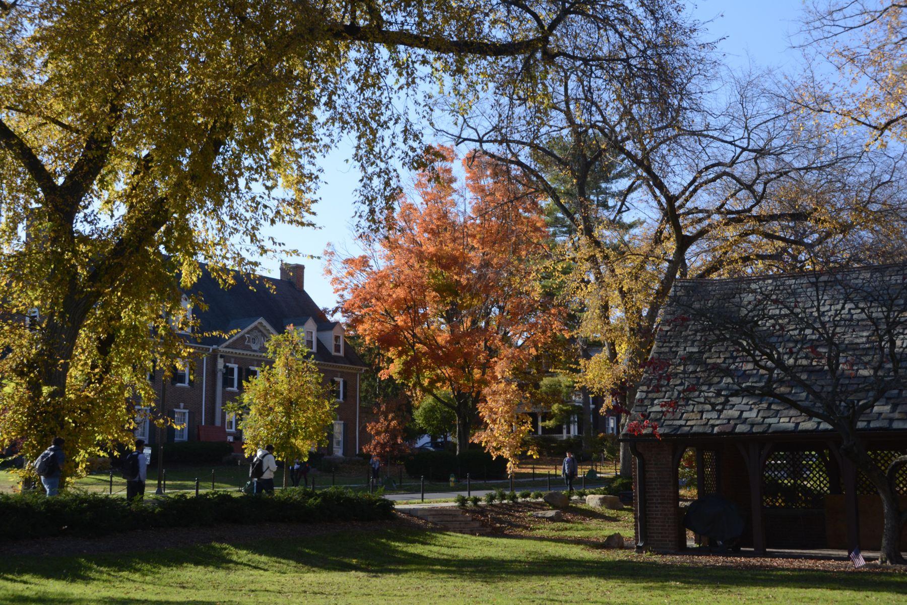 Penn State Campus Autumn (40).JPG