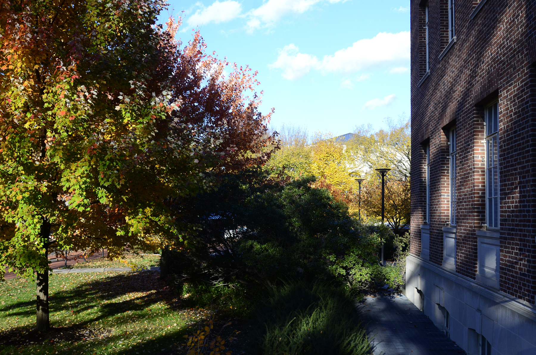 Penn State Campus Autumn (42).JPG