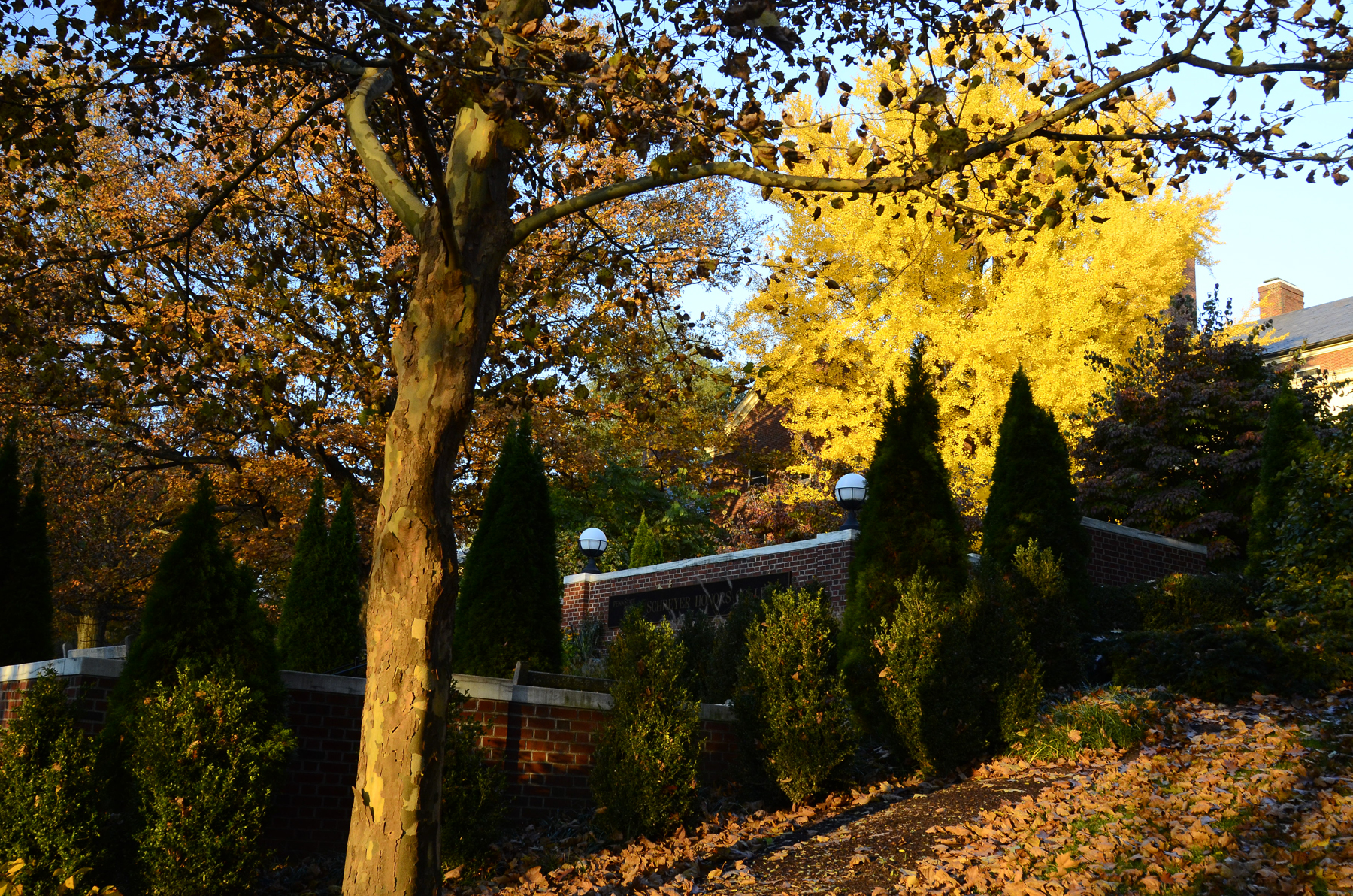 Penn State Campus Autumn (8).JPG